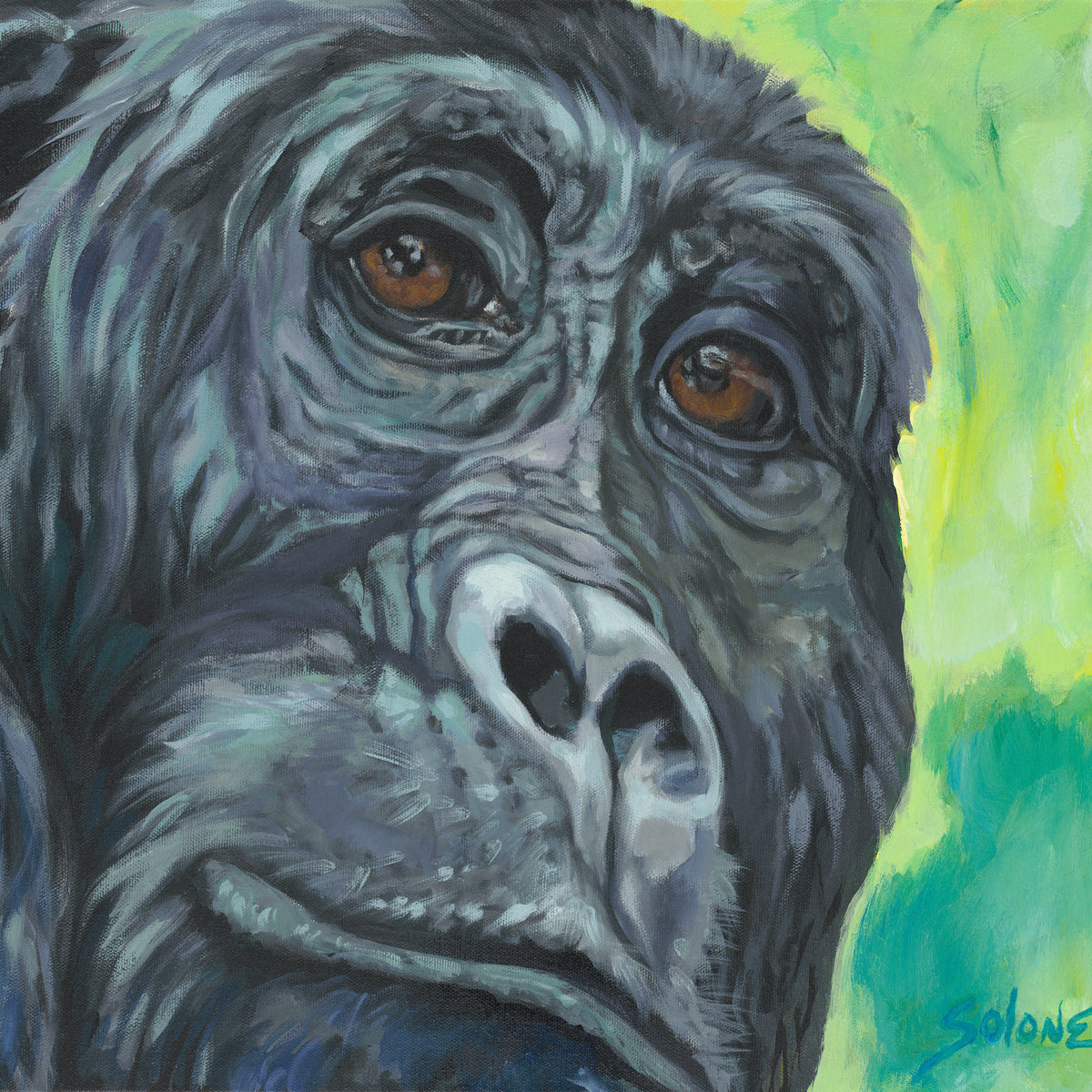 Support the Gorillas!