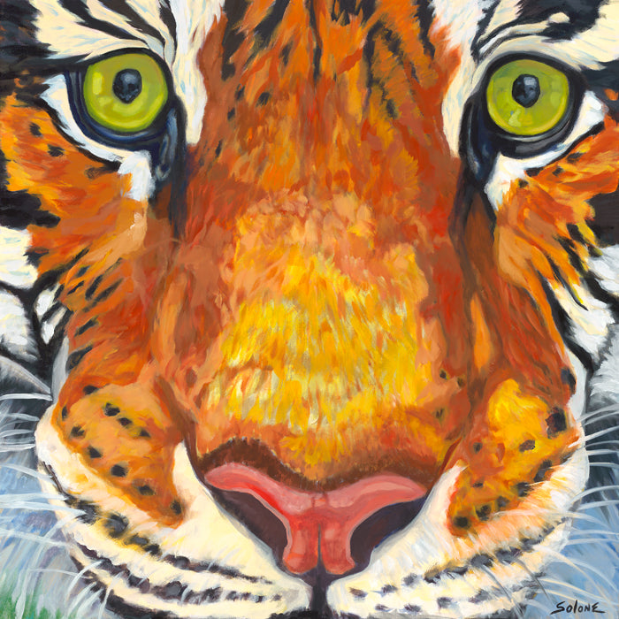 Mac, a tiger
