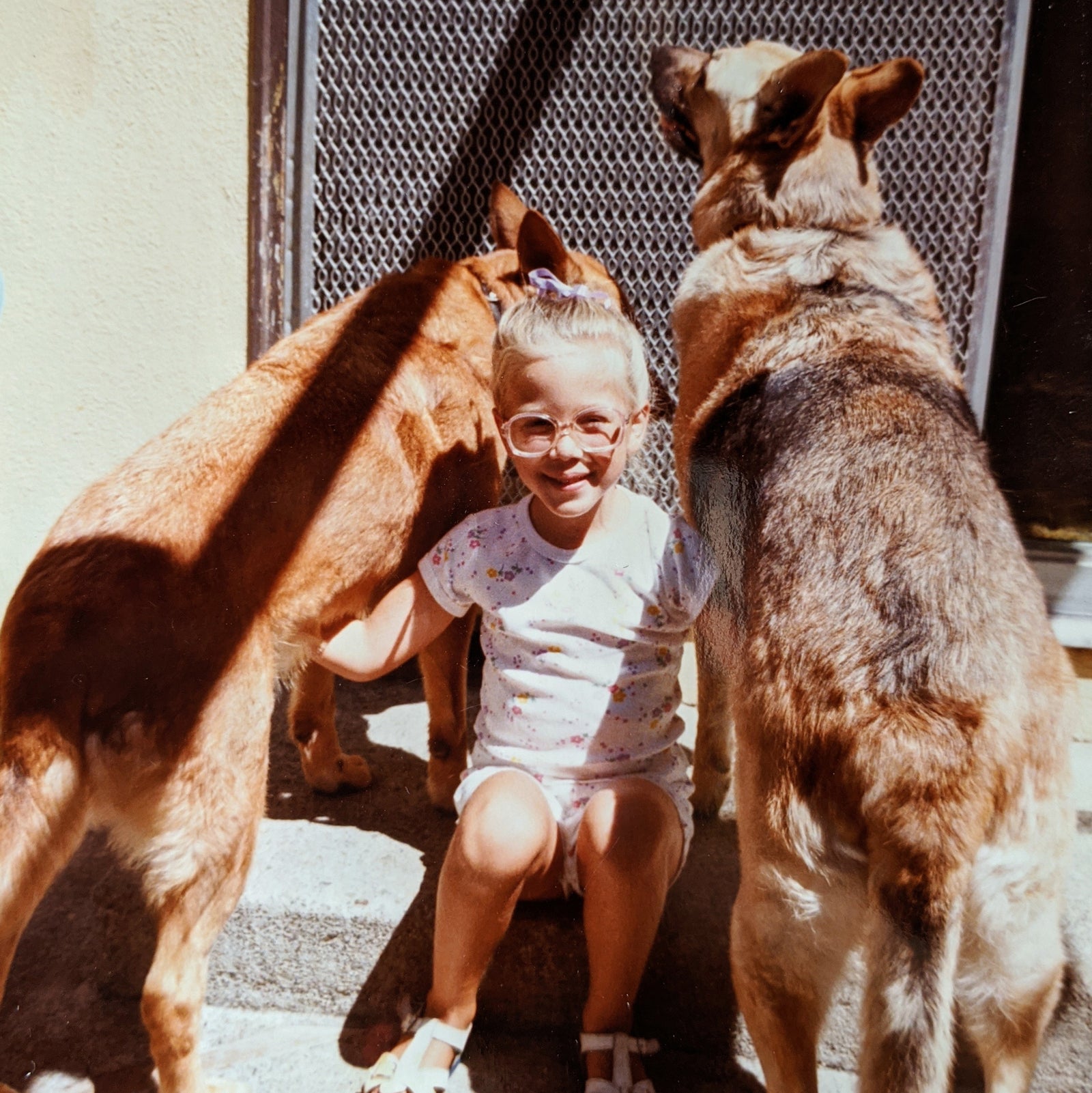happy love your pet day!