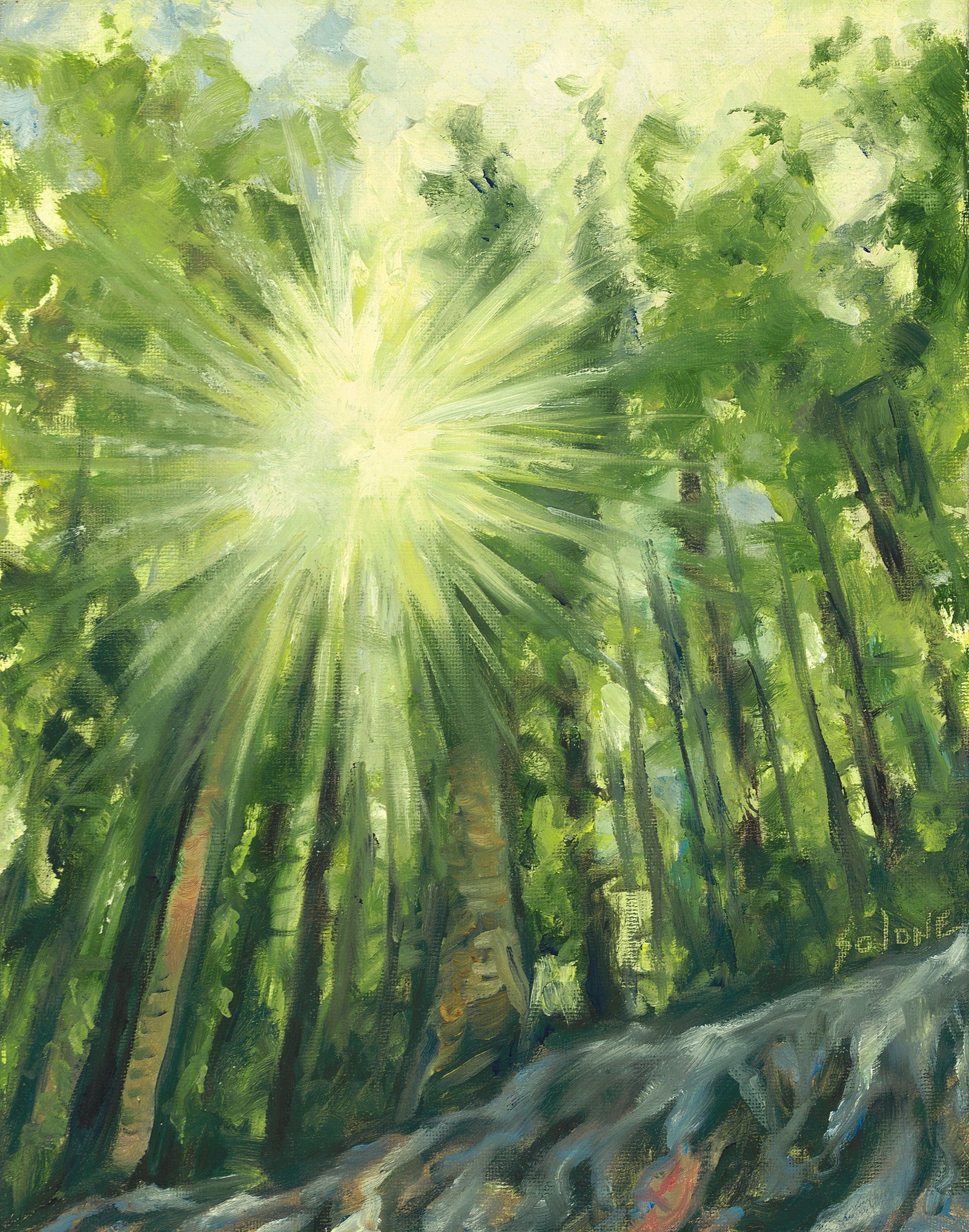Through the trees
