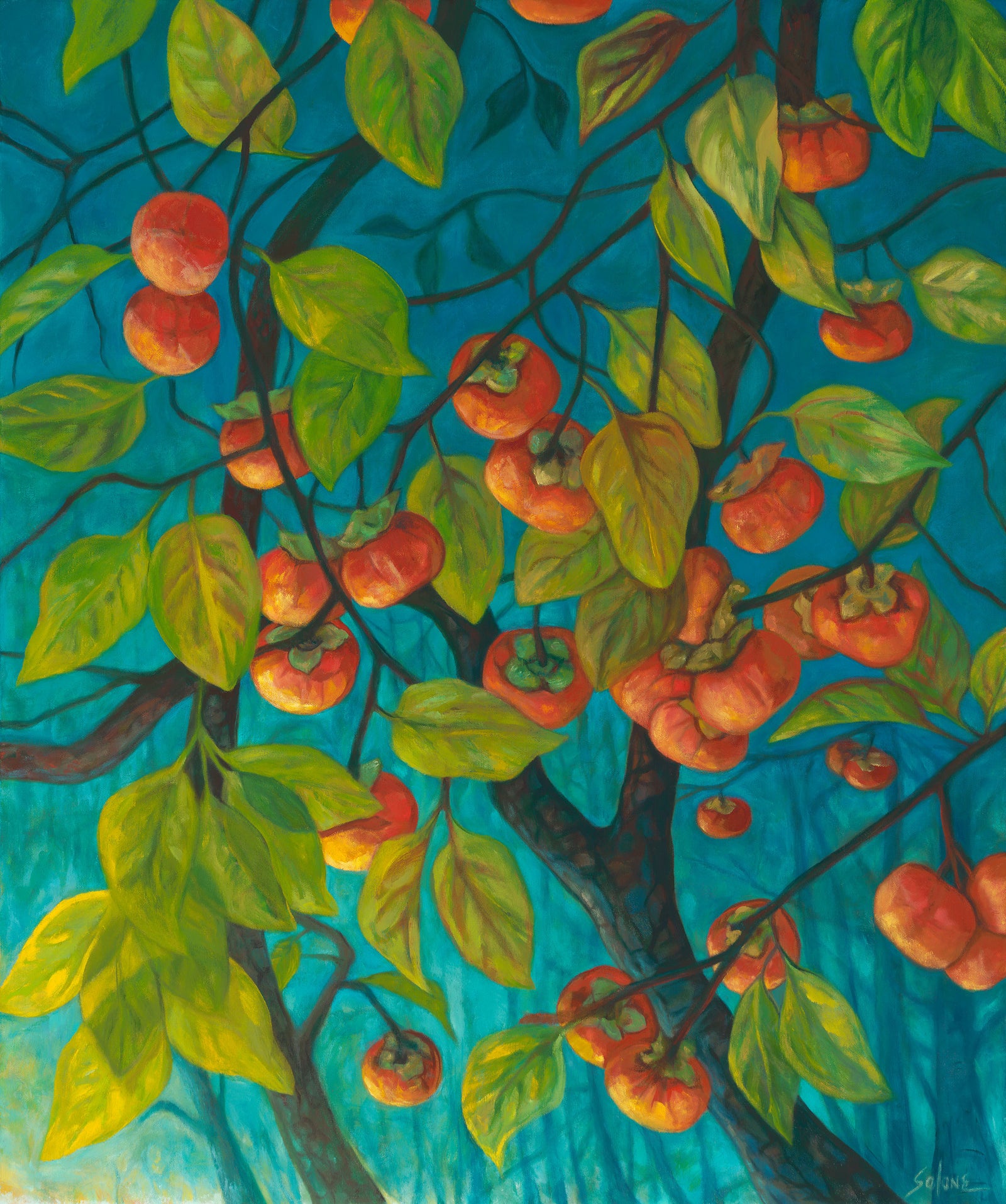 Persimmon Tree