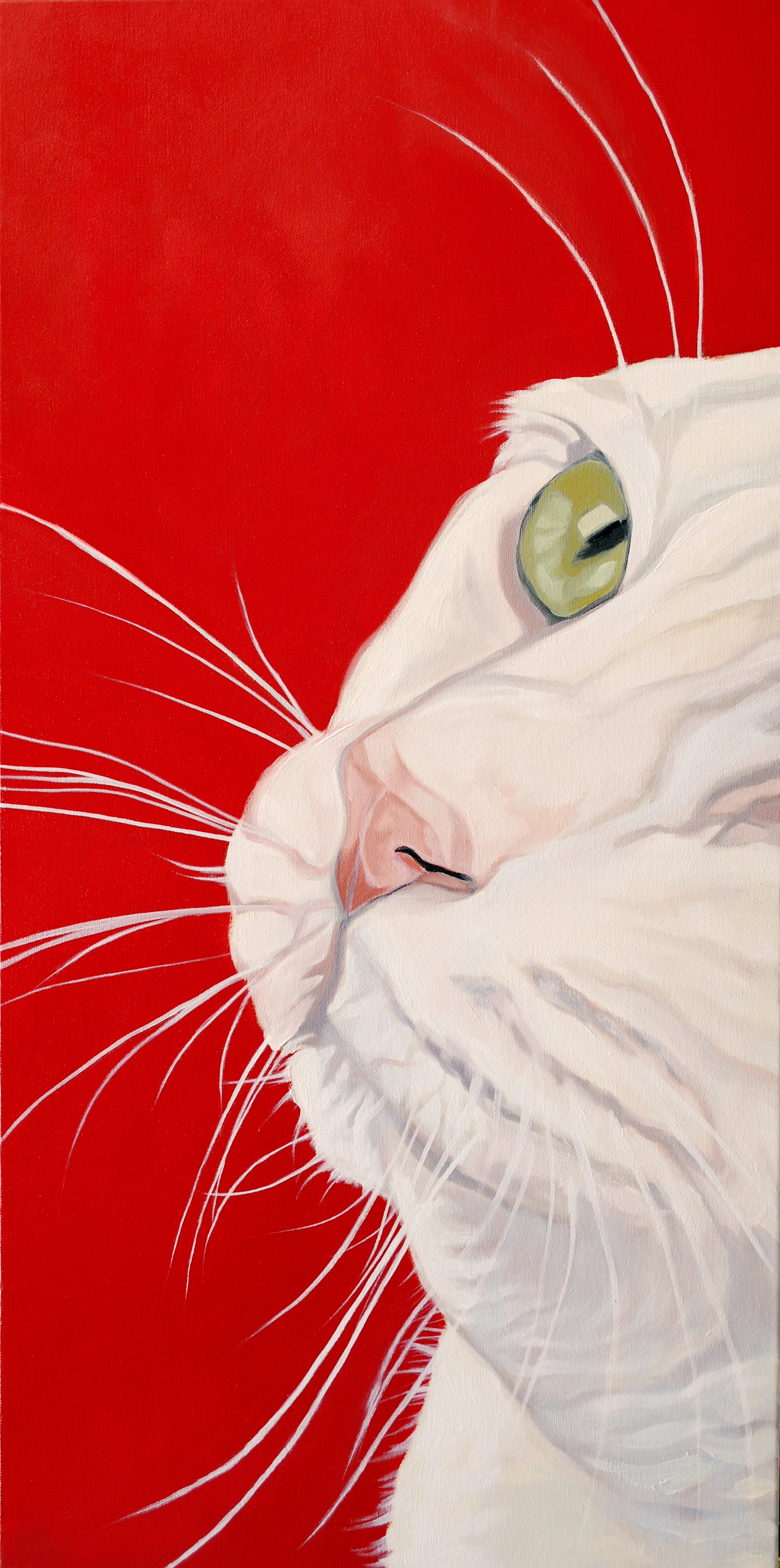 Whisker Wonderland No. 4 Limited Edition