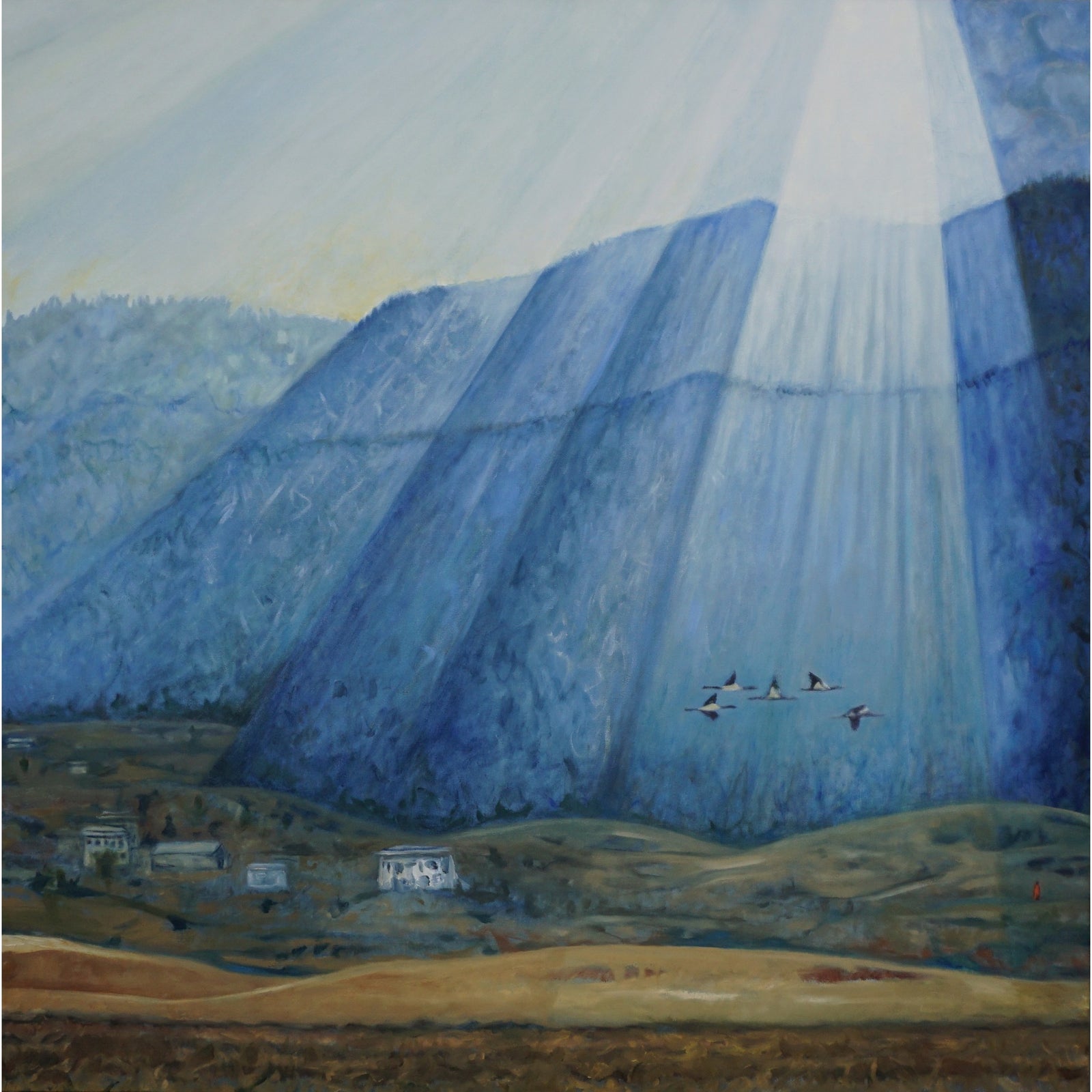 Himalayan Foothills